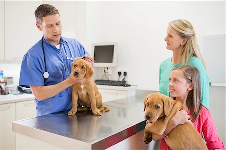 full body man worried - Veterinarian examining dog in vet's surgery Stock Photo - Premium Royalty-Free, Code: 6113-06626484