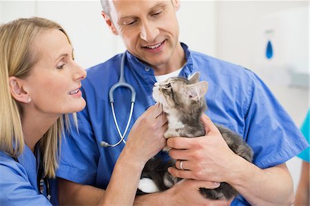 Veterinarians examining cat in vet's surgery Foto de stock - Sin royalties Premium, Código: 6113-06626428