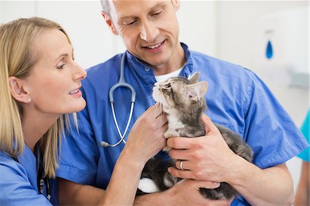 simsearch:6113-06626451,k - Veterinarians examining cat in vet's surgery Foto de stock - Royalty Free Premium, Número: 6113-06626428