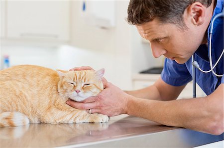 simsearch:6113-06626482,k - Veterinarian examining cat in vet's surgery Foto de stock - Royalty Free Premium, Número: 6113-06626433