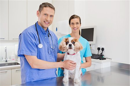 Veterinarians examining dog in vet's surgery Foto de stock - Sin royalties Premium, Código: 6113-06626431
