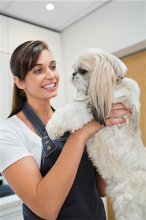 Groomer holding dog in office Foto de stock - Sin royalties Premium, Código: 6113-06626503