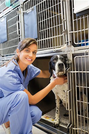 simsearch:6113-06626452,k - Smiling vet placing dog in kennel Foto de stock - Royalty Free Premium, Número: 6113-06626509
