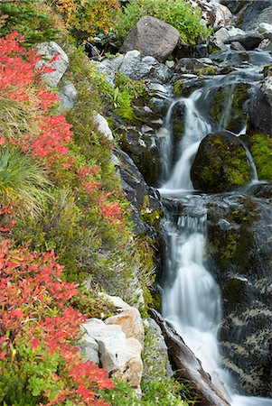 rainier national park - Waterfall rushing over rocky hillside Stockbilder - Premium RF Lizenzfrei, Bildnummer: 6113-06626675