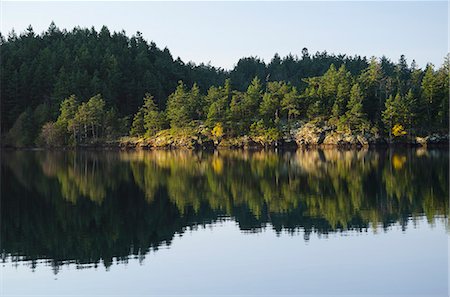 Rural landscape reflected in still lake Foto de stock - Sin royalties Premium, Código: 6113-06626713