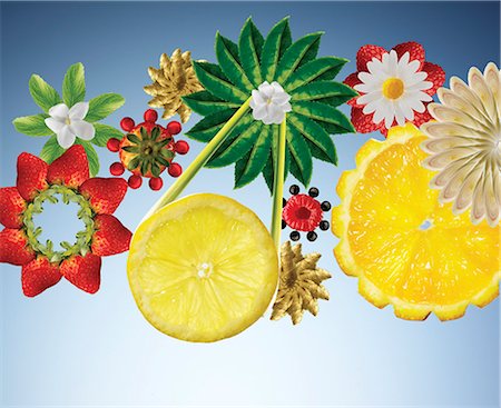 Illustration of fruits and vegetables in flower shapes Stock Photo - Premium Royalty-Free, Code: 6113-06626726