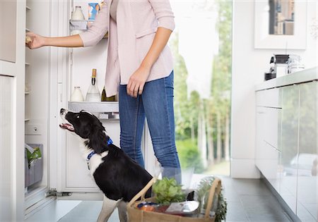 food and grocery - Dog begging for food at open fridge Stock Photo - Premium Royalty-Free, Code: 6113-06720922