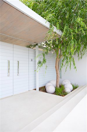 patio doors - Tree in courtyard of modern house Foto de stock - Sin royalties Premium, Código: 6113-07147832