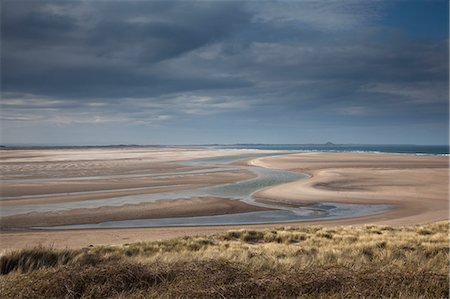 sea grass - Beach at low tide Photographie de stock - Premium Libres de Droits, Code: 6113-07160379