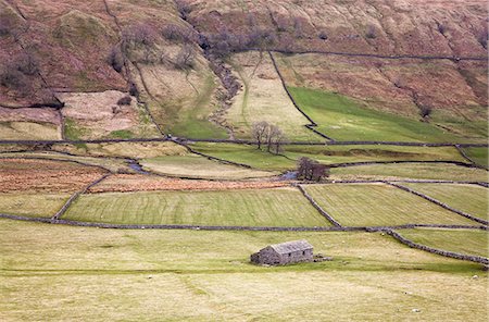 simsearch:6113-07160349,k - House and pastures in rural landscape Photographie de stock - Premium Libres de Droits, Code: 6113-07160392