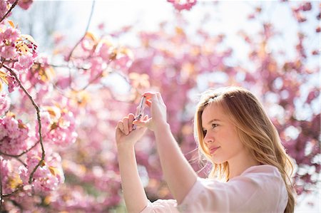 Woman photographing pink blossoms on tree Stock Photo - Premium Royalty-Free, Code: 6113-07160629