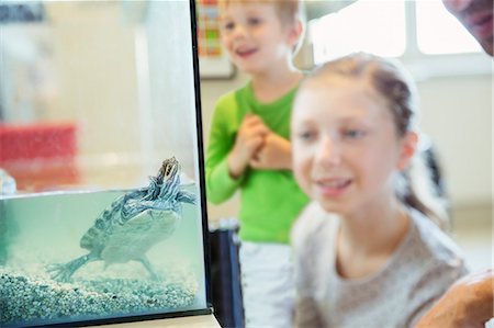 Girl watching turtle swim in glass tank Photographie de stock - Premium Libres de Droits, Code: 6113-07242793