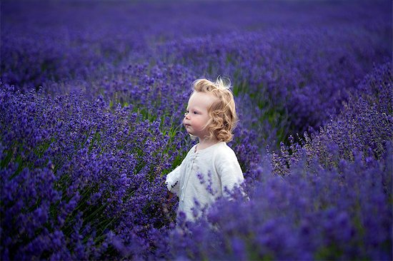 Boy walking in field of lavender Photographie de stock - Premium Libres de Droits, Le code de l’image : 6113-07542393