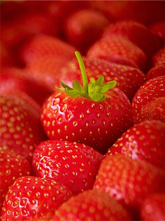 fruit backgrounds - Extreme close up of ripe strawberries Photographie de stock - Premium Libres de Droits, Code: 6113-07565165
