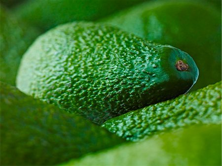 Extreme close up of whole Pinkerton avocados Stock Photo - Premium Royalty-Free, Code: 6113-07565168