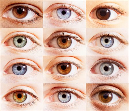 female teen brown eyes - Extreme close up of digital composite of eyes Stock Photo - Premium Royalty-Free, Code: 6113-07565276