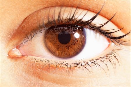 Extreme close up of brown eyes Foto de stock - Sin royalties Premium, Código: 6113-07565280