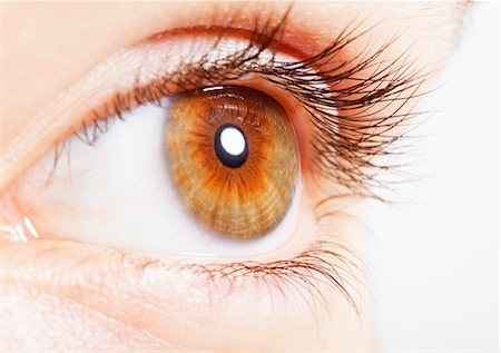 eye - Extreme close up of hazel eye Stock Photo - Premium Royalty-Free, Code: 6113-07565288