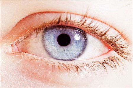 Extreme close up of blue eye Foto de stock - Sin royalties Premium, Código: 6113-07565294