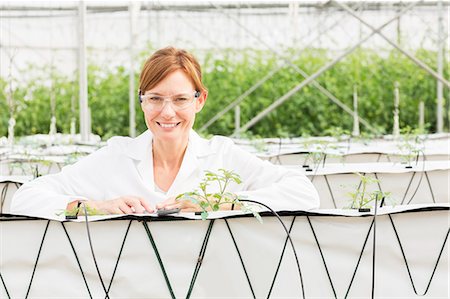 Portrait of smiling scientist with plants in greenhouse Foto de stock - Sin royalties Premium, Código: 6113-07589145