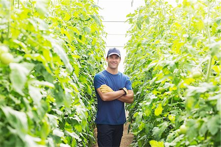 retail small business - Portrait of confident worker among tomato plants in greenhouse Stock Photo - Premium Royalty-Free, Code: 6113-07589177