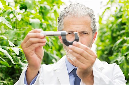precisión - Scientist holding caliper in greenhouse Foto de stock - Sin royalties Premium, Código: 6113-07589137
