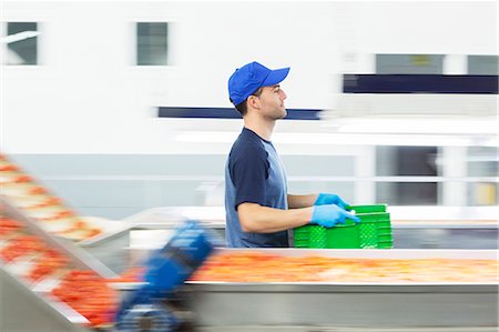 Worker carrying crate in food processing plant Photographie de stock - Premium Libres de Droits, Code: 6113-07589263