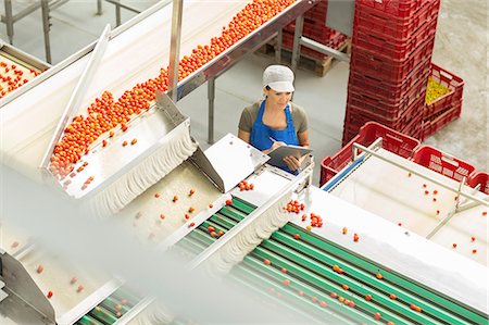 Worker with clipboard examining tomatoes in food processing plant Foto de stock - Sin royalties Premium, Código: 6113-07589277