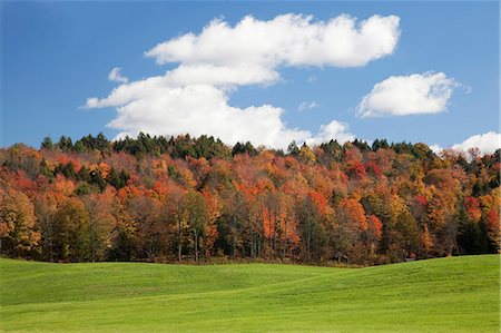 Autumn trees, Adirondacks, New York, United States Foto de stock - Sin royalties Premium, Código: 6113-07589307