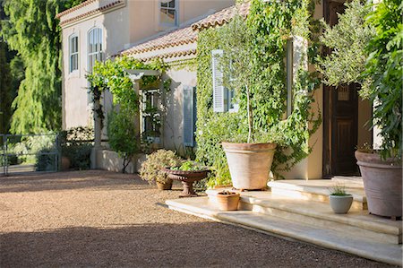 plante en pot - Sunny luxury villa Photographie de stock - Premium Libres de Droits, Code: 6113-07589743