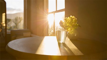 daytime sunny - Sun shining in window behind flower in glass Stock Photo - Premium Royalty-Free, Code: 6113-07589744