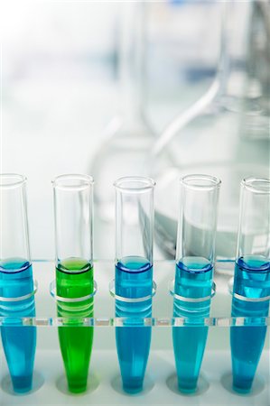 Rack of test tubes with solution on counter in lab Stock Photo - Premium Royalty-Free, Code: 6113-07790343
