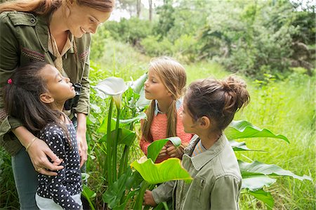 exploring children - Students and teacher examining plants outdoors Stock Photo - Premium Royalty-Free, Code: 6113-07731217