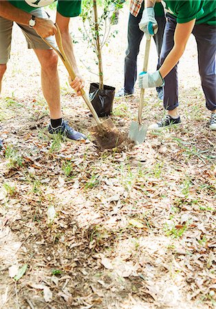 simsearch:6113-08088066,k - Environmentalist volunteers planting new tree Fotografie stock - Premium Royalty-Free, Codice: 6113-08088130