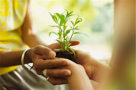 person cupping hands - Close up mother and son cupping seedling Photographie de stock - Premium Libres de Droits, Code: 6113-08220254