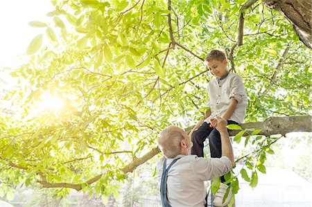 simsearch:6113-08220479,k - Grandfather helping grandson on tree branch Foto de stock - Sin royalties Premium, Código: 6113-08220456