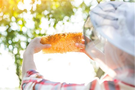 simsearch:6113-08220529,k - Beekeeper examining honeycomb Foto de stock - Sin royalties Premium, Código: 6113-08220461