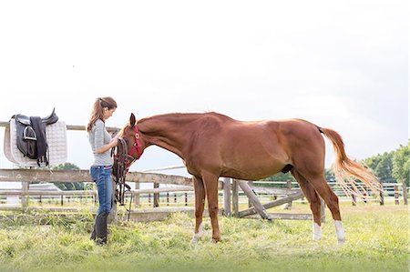 simsearch:649-09003830,k - Woman preparing horse for horseback riding in rural pasture Stock Photo - Premium Royalty-Free, Code: 6113-08220434