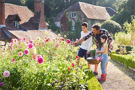 simsearch:6113-08424203,k - Family picking flowers in sunny garden Stock Photo - Premium Royalty-Free, Code: 6113-08424181