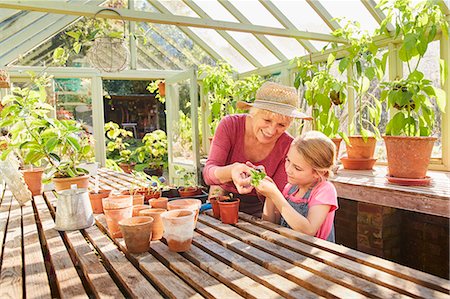 dentro - Grandmother and granddaughter potting plants in greenhouse Foto de stock - Sin royalties Premium, Código: 6113-08424250