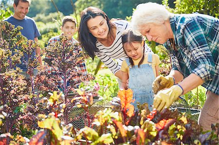 Multi-generation family in vegetable garden Photographie de stock - Premium Libres de Droits, Code: 6113-08424236