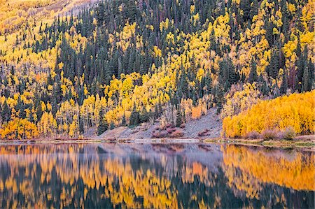 simsearch:6119-08740954,k - Reflection of yellow autumn trees on hillside in tranquil lake, Crystal Lake, Ouray, Colorado, United States Photographie de stock - Premium Libres de Droits, Code: 6113-08521631