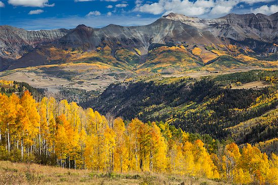 Yellow autumn trees on sunny hillside below mountains, Sunshine Mesa, Colorado, United States Stock Photo - Premium Royalty-Free, Image code: 6113-08521638