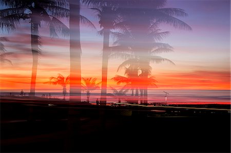Silhouetted palm trees and dramatic sunset over ocean, Broome, Australia Photographie de stock - Premium Libres de Droits, Code: 6113-08655501