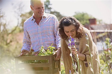 Husband watching wife smelling flowers in sunny plant nursery garden Stock Photo - Premium Royalty-Free, Code: 6113-08722184