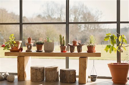 succulent - Cacti and potted plants growing in sunroom window Photographie de stock - Premium Libres de Droits, Code: 6113-08722111