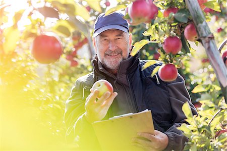 simsearch:6115-08416361,k - Portrait smiling male farmer with clipboard inspecting red apples in sunny orchard Fotografie stock - Premium Royalty-Free, Codice: 6113-08805796