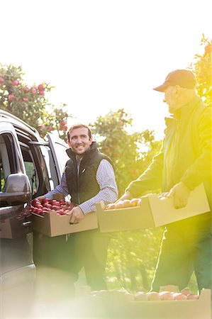 Smiling male farmers loading apples into car in sunny orchard Stock Photo - Premium Royalty-Free, Code: 6113-08805820