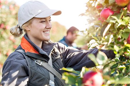 Smiling female farmer harvesting apples in orchard Photographie de stock - Premium Libres de Droits, Code: 6113-08805824