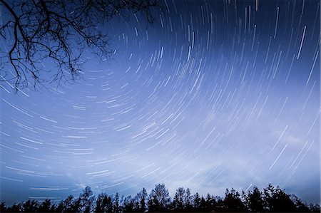 simsearch:649-08565412,k - Meteor shower in blue sky above treetops, Naestved, Denmark Photographie de stock - Premium Libres de Droits, Code: 6113-08985836